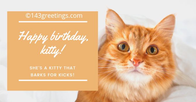 Happy Birthday Kitty