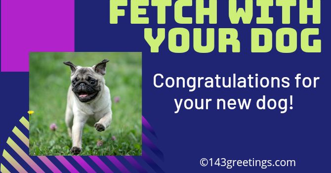 Congratulations Messages for New Dog