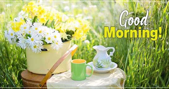 Good Morning Messages: Best Good Morning Wishes | 143 Greetings
